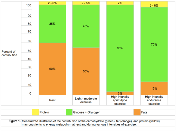 Macro-nutrient usage during various levels of activity